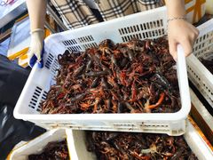 -渔人湾码头海鲜市场负二楼