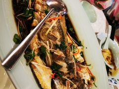 -渔娘渔家丹东海鲜(东直门店)