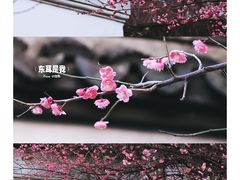 -八大山人梅湖景区