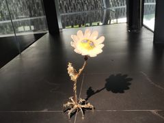-知美术馆