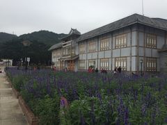 -玫瑰海岸文化旅游度假区