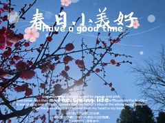 -天鹅湖体育公园