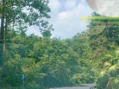 -将军关探险漂流