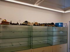 -灵龟之家百象馆(百象馆联合旗舰店)