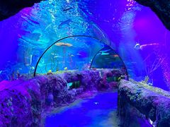 -沈阳海洋探索中心