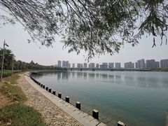 -五缘湾湿地公园