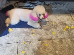 -溢仙茶(中防万宝城店)