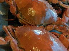 android_upload_pic-湿地轩