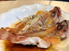 红玫瑰鱼-聚福宝合苑食府(南头镇店)