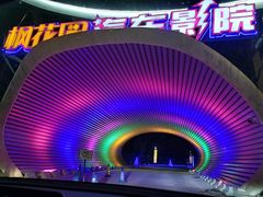 -枫花园汽车电影院(朝阳公园店)