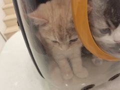 -佳雯宠物医院(四明中路分院)