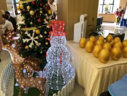 -宝生月子中心·独栋独院式(南山店)