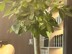 -鹿栖.精油SPA(金山世纪城店)