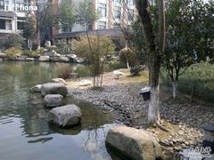 2011-03-10_12-35-13-杭州世外桃源君澜度假酒店