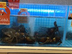 -七欣天香辣蟹火锅(南京桥北太平店)