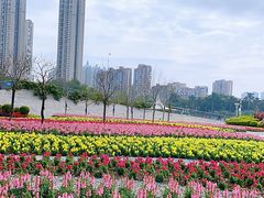 -文华公园(禅城区)