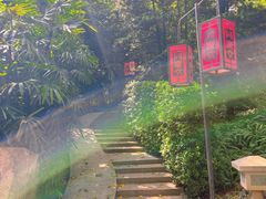 -广州兰圃
