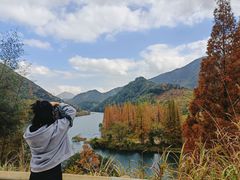 -四明山国家森林公园