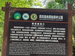 -西双版纳原始森林公园