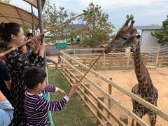 -西霞口神雕山野生动物世界