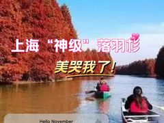 -上海海湾国家森林公园