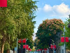 -西南交通大学(九里校区)