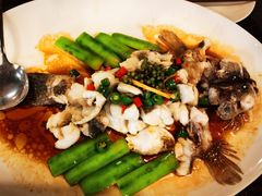 -猪肉婆私房菜(容桂总店)