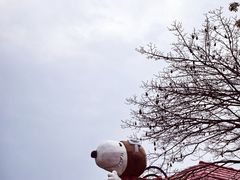 -史努比缤纷世界