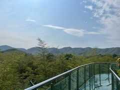 -陶祖圣境风景区