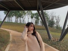 -白鹭湾湿地公园