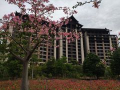 -清远熹乐谷温泉度假酒店