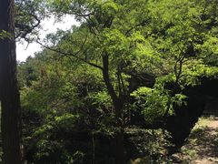 -北京鹫峰国家森林公园