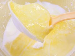 -德禄酸奶(莫家街店)