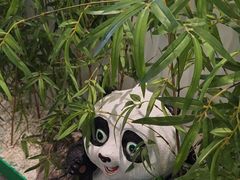 -麻辣空间·清油火锅(万达广场店)