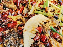 -老板恋上鱼(恒隆广场店)