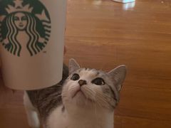 -星巴克(吉林财富广场店)