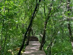 -青峰峡国家森林公园