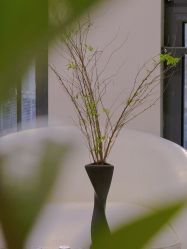 -十三美学·半永久纹眉纹唇·野生眉