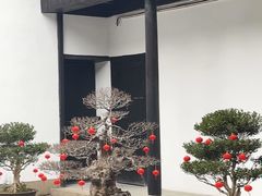 -绮园景区