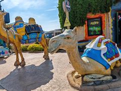 -大连海昌发现王国主题公园