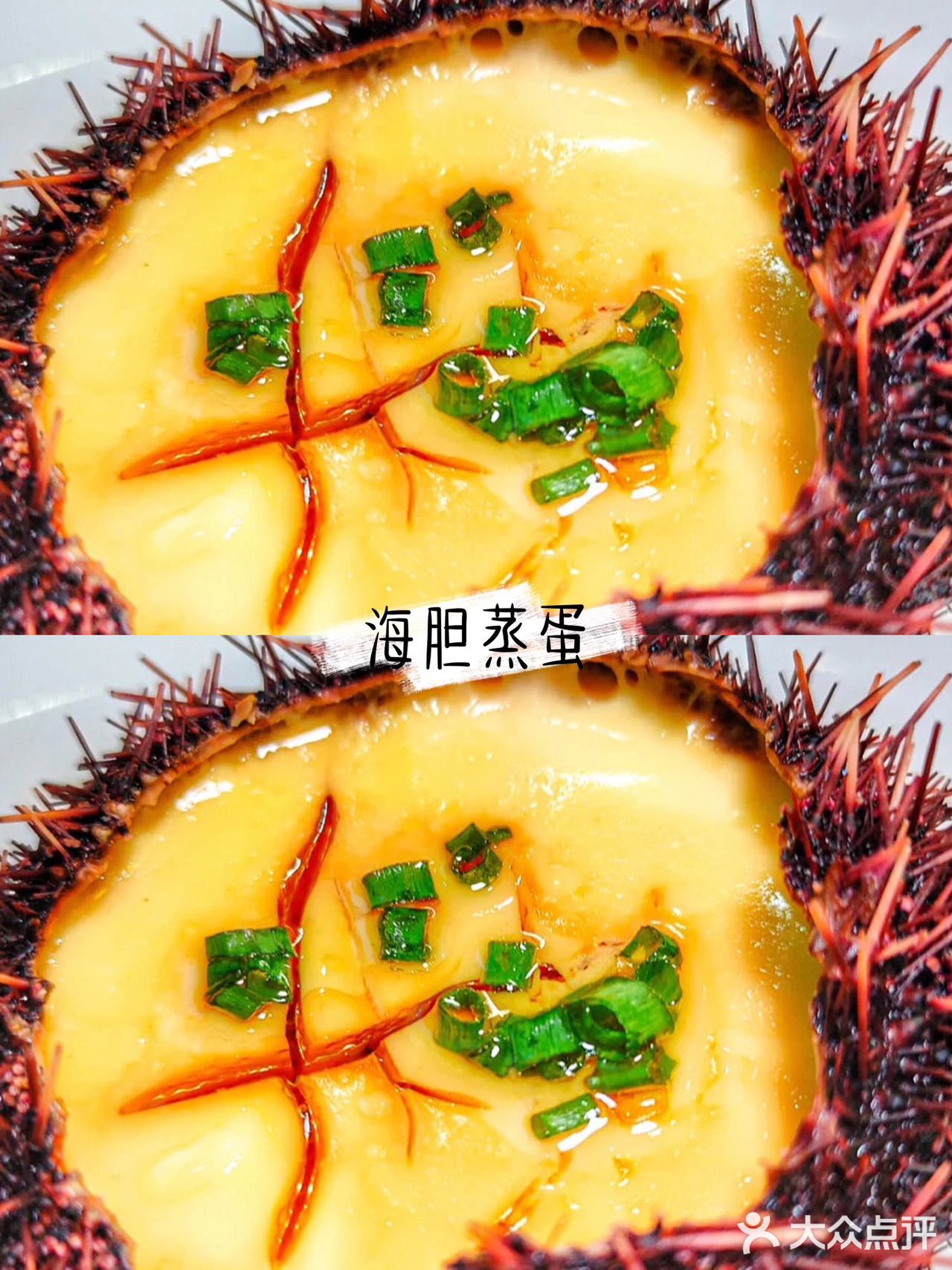 不是吧，你还不知道三亚有明星打卡过的海鲜连锁店！😋