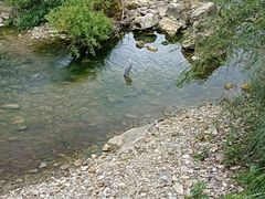 -天河潭旅游度假区