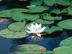 -白鹭湾湿地公园