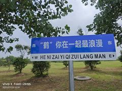 -盐城丹顶鹤湿地生态旅游区