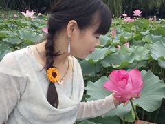 -莲花池公园