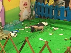 -万达广场(松江店)