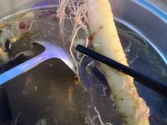 -千岛蚝高压锅生蚝·人参火锅(白云万达店)