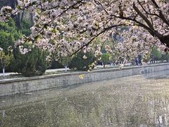 -元大都城垣遗址公园