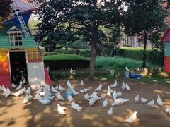 -烟台山景区