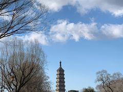 -老三羊汤【北兴隆街店】